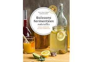 Boissons fermentées naturelles: Sodas, limonades, kéfirs et kombuchas