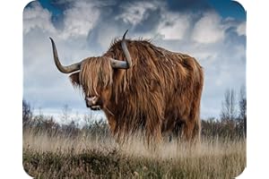 Highland Cow - Glass Worktop Saver/Protector - by Pearl Glass (50 x 40cm Large)