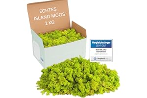 Mia Milano Islandmoos hellgrün konserviert | Moos Deko zum Basteln | 1kg Echtes Dekomoos Isländisch für Moosbild, Mooswand lebend