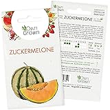 Zuckermelone Samen: Premium Melonen Samen für 15 Zuckermelonen Pflanzen – Melonensamen der süßen Sorte Charentais – Charentai