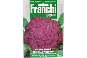 FRANCHI SEMENTI SEMENTI DI ORTAGGI DI QUALITA' PER USO HOBBYSTICO IN BUSTINA TERMOSALDATA (CAVOLFIORE DI SICILIA VIOLETTO)