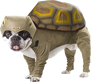 tortoise dog