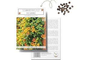 HAPPYSEED Susana con ojos negros (Thunbergia alata). Preciosa planta trepadora ideal para el jardín o como planta colgante para terraza y balcón.