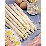Asparagus officinalis"Vitalim" | Weißer Spargel | Gemüsepflanzen | Gemüse anbauen | Gärtnern nebenbei