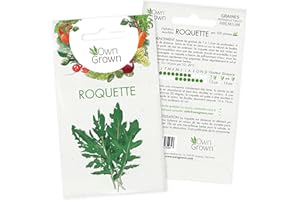 Graines de roquette (Diplotaxis tenuifolia), graines de roquettes à cultiver OwnGrown, graines pour environ 500 plants de roquette