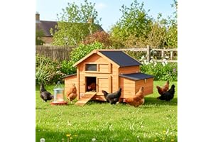 Chicken Coop Extra Large By Cozy Pet Hen Perfect for up to 12 Birds Chicken Run House Poultry Coup Ark Nest Box CC05-N