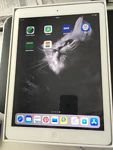 Apple iPad Air Wi-Fi - tablet - 16 GB - 9.7"