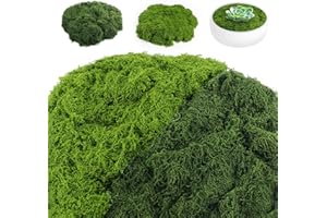 TOSAVGA 200g Musgo Artificial para Decorar, 100g Verde Claro +100g Verde Oscuro Musgo Falso Decorar, Moss Decorativo para Arreglos Florales, Manualidades para Macetas, Decoración de Bodas, Decoración DIY