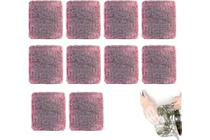 FARMTY Tampon Nettoyage,Épurateur en Acier pour Vaisselle,Tampon à Récurer Avec Savon,Laine d'acier Réutilisables pour Nettoyer la Vaisselle, les Casseroles, les Poêles(10 Pièce)