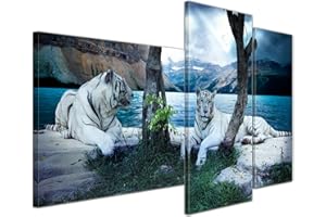 Bilderdepot24 Impression d'art - Tigre II - 130x80 cm 3 pièces - Images comme une impression de toile - la faune - animals des sauvages - grands félins - deux tigres blancs