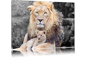 PIXXPRINT magnifique lionceau câlins avec noir / blanc Format: 60x40 Toile, XXL photos complètement encadrée avec de grandes images de coin, art impression sur la photo murale avec cadre, moins cher que la peinture ou une peinture à l'huile, pas une affiche ou bannière