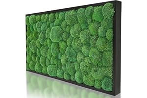 naturewalls Moosbild Kugelmoos - Pflanzenbild Vollholz-Rahmen - XXL - Schwarz | 110 x 55 cm