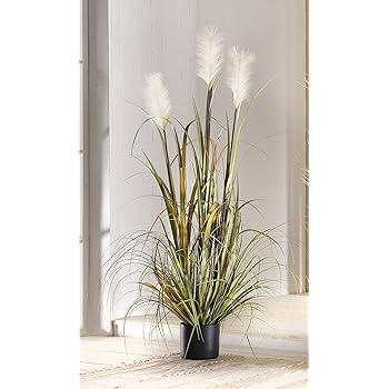 Amazon.de: DEKO TOPFPFLANZE "Uferschilf" 120 cm
