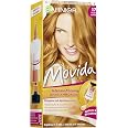 BRISCHE Permanent Creme Coloration Nr. 10 Extrem Hellblond – Professionelle Haarfarbe Mit Langanhaltendem Ergebnis