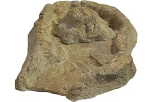 wasserkaskaden Récipient source EDER, source avec Protection Anti-éclaboussures, Beige/Brun, 53 x 40 x 8 cm