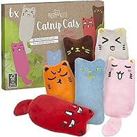 PRETTY KITTY 6X Minz Miezen - Räumungsverkauf (wenig Katzenminze): Katzenspielzeug Set aus Katzenkissen – 6X Katzen…