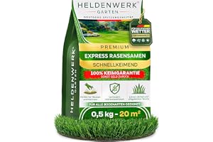 HELDENWERK® gräsfrön snabbspirande höst 0,5 kg/20 m² TYSKLAND | Designad för tyskt väder, ny och nyaat, robust sport- och lekgräs, tillverkad i Tyskland, KEIMGARANTI, ogräsfri
