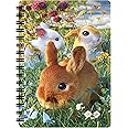 3D LiveLife Jotter - Bunnies from Deluxebase. Lenticular 3D Bunny A6 Spiral Notebook with plain recycled paper pages. Artwork licensed from renowned artist David Penfound