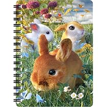 Bloc-note 3D LiveLife Chatons Rigolos - Format A6 (14,5x10,5 Cm), 80 Pages Recyclées, Couverture Rigide - 3