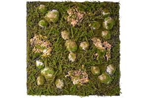 REPITERRA Terrarium Rückwände unterschiedliche Design Wald klein