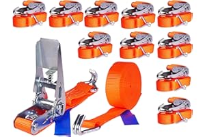 INDUSTRIE PLANET 10 x 800 kg 6 m Tensor de carraca Cinchas Correa trinquete con Gancho Eslingas con carraca Pulpos para baca 25 mm