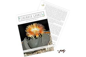 HAPPYSEED Semillas exóticas de cactus con alta tasa de germinación – Juego de semillas suculentas para tu propio hermoso cactus floreciente