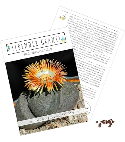 100 Semi Di Lithops Karasmontana 'Red Top' - Piante Grasse 'Pietre Vive', Per Collezionisti - Foto 10