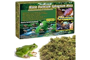 Riare Premium Natürliches Moos Getrocknet für Pflanzen Reptilien Moos Inkubationen, Wald Torch Reptilien Matrix für Schlangen, Geckos, Schildkröten, Frösche (600g)