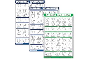 Palace Learning 3 Pack: Dumbbell Workouts Posters Volume 1 & 2 + Barbell Exercises - Set of 3 Workout Charts (LAMINATED, 18" x 24")