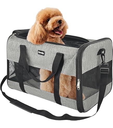 Gatti Amazon Zaino Cane Zaino Porta Cane AiQInu Trasportino Gatto E Cani,  Zaino Pieghevole