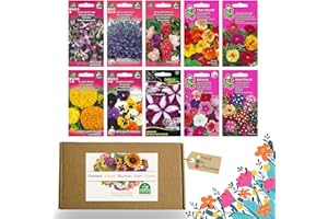 NOJAUS SĖKLOS Nojus - Set di semi di fiori – Semi di fiori 10 varietà – Semi di fiori da balcone – Semi di piante colorate – 10 confezioni – Semi di fiori selvatici – Sacchetto di semi di fiori