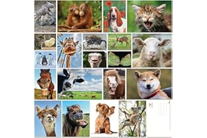 Edition Colibri Lot de 20 cartes postales avec animaux amusants et sympas, format A6, pour les collectionneurs et le postcrossing (Set 6)