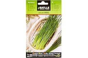 Graines aromatiques de Batlle - Ciboulette annuel (3g)