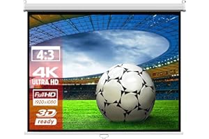 ALPHAVISION*BUSINESS SlenderLine Base Beamer Leinwand 244 x 183 cm | Format 4:3 | 1.2 Gain | Full-HD 4K & 3D geeignet | manuelle Rolloleinwand | Heimkino und Präsentation | Decken- BZW. Wandmontage