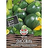 83578 Sperli Premium Zucchini Samen 8 Ball | Früh | Ertragreich | Runde Zucchini | Zuchini Saatgut | Zucchini Rund