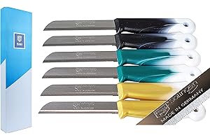 SMI - 12 PCS Solingen Coltelli vegetali Professionale coltelli da Frutta Coltelli da Chef coltelli da Cucina Acciaio Inossidabile Utensili da Cucina