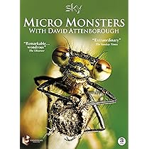 David Attenborough - Life in the Undergrowth [DVD]: Amazon.co.uk