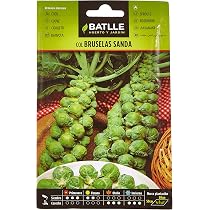Semi Di Broccolo Verde Calabrese Batlle - Confezione Per Orto E Giardinaggio