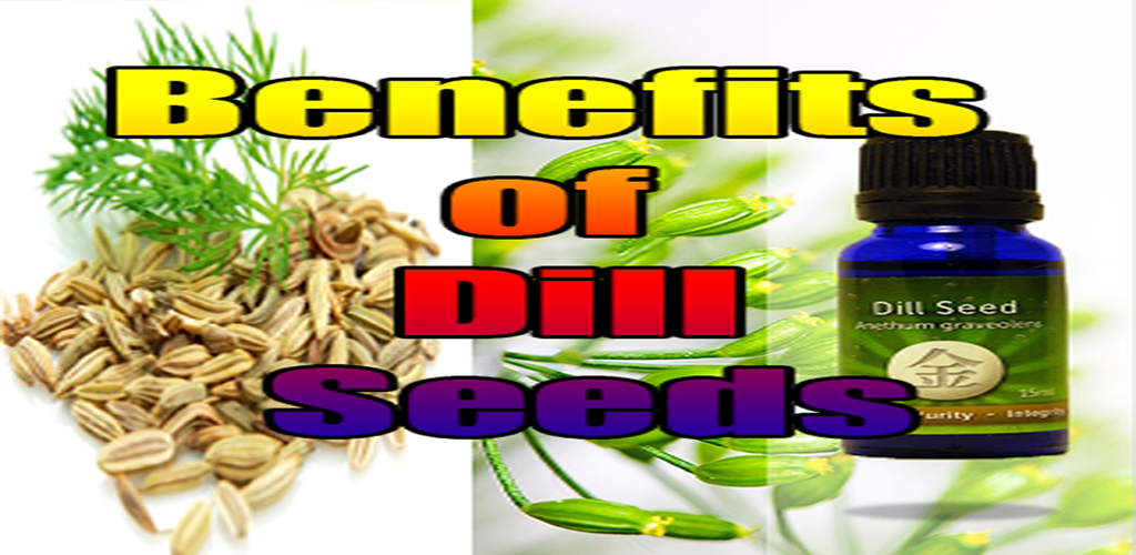 Benefits of Dill Seeds Amazon.co.uk Appstore for Android