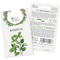 Basilikum Samen (Ocimum basilicum): Premium Kräuter Samen zur Anzucht von ca. 400x Basilikum Pflanze - Kräutersamen für…