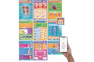 Daydream Education Lot de 9 affiches anatomiques et physiologiques en papier brillant mesurant 850 mm x 594 mm (format A1) | Posters d'éducation physique pour la salle de classe