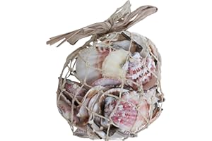 Quay Traders Mixed Sea Shells in Abaca Bag - 350 Grams (4044A)