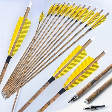 24 Flèches Carbone Pour Arc – 16 Pouces, Vanes Plastique, Pour Chasse Ou Tir à L’arc