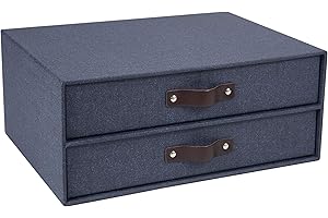 Bigso Box of Sweden 9431C3843 Module de Rangement à 2 Tiroirs Panneau de Fibre Bleu 25,5 x 33 x 14,5 cm