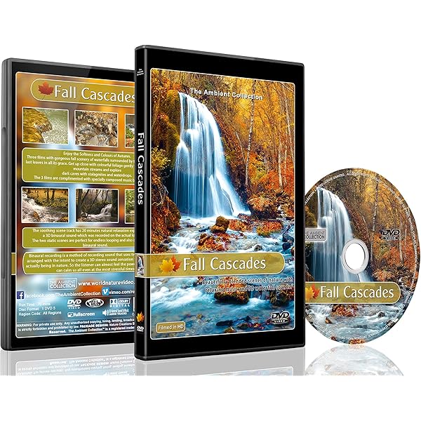 Rain DVD with Nature and Thunder Sounds for Relaxation
