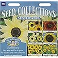 Mr Fothergill's 18584 Flower Seeds, Sunflowers Collection, Red,White