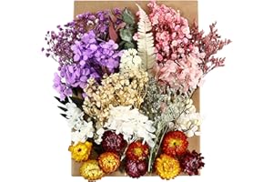 LANFLY 3 Boxes Natural Dried Flowers Set, Mixed Pressed Dried Flowers and Leaves, Multiple Real Decorative Flowers for DIY Art Craft Jewelry Candle Soap Phone Case Scrapbooking Nail Stickers Floral Decors