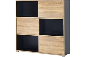 ‎GERMANIA DIE MÖBELMACHER Germania 4038-161 Schiebetürregal GW-Slide in Anthrazit/Sonoma-Eiche-Nachbildung, 120 x 119 x 35 cm (BxHxT)