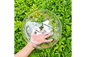 YOZIEMQ Hohlkugel aus Acryl, durchsichtig, befüllbar, Ornamente, DIY, transparente Kunststoffkugeln für Neujahrsgeschenk, Weihnachtsbaum, Heimdekoration, Hochzeit, Party (20 cm/5 Stück)