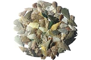 ANIMUS IMPERAT 100 Puntas de Flecha de 3,5 a 6,5 cm de ágata.